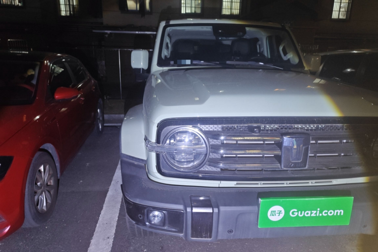 坦克300 2021款 城市版 2.0T 很有型车身外观8