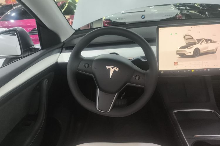 特斯拉 Model Y 2023款 长续航全轮驱动版局部细节13