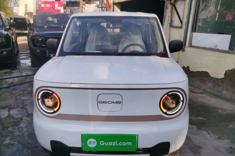 吉利银河 2024款 熊猫mini 200km 耐力熊车身外观2