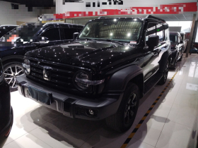 坦克300 2024款 2.0T 征服者