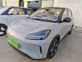 五菱汽车 五菱缤果PLUS 2024款 330km 五座版