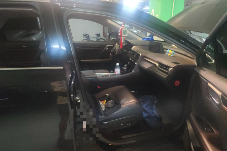 雷克萨斯RX 2016款 300 四驱典雅版 国V局部细节9005