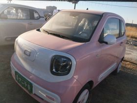 奔腾小马 2026款 222km 萌趣马