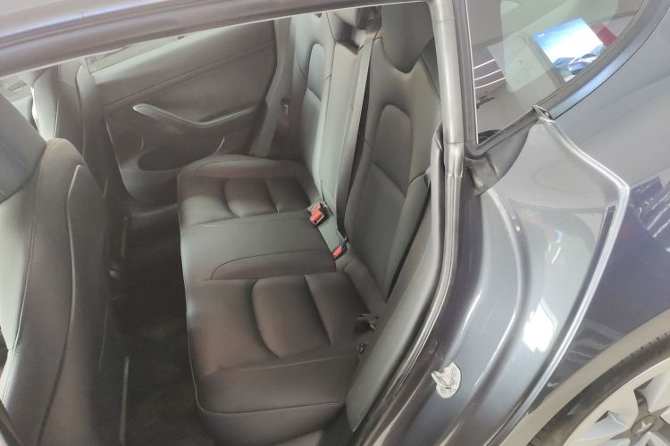 特斯拉 Model 3 2021款 标准续航后驱升级版 3D6中控内饰21