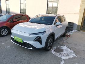 五菱汽车 五菱星光S 2024款 130km 旗舰型