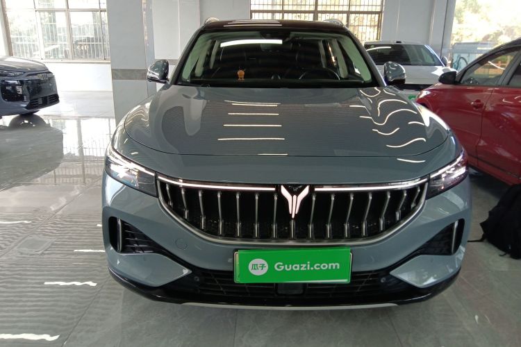 岚图汽车 岚图FREE 2021款 四驱纯电首发纪念版专属豪华套装车身外观2