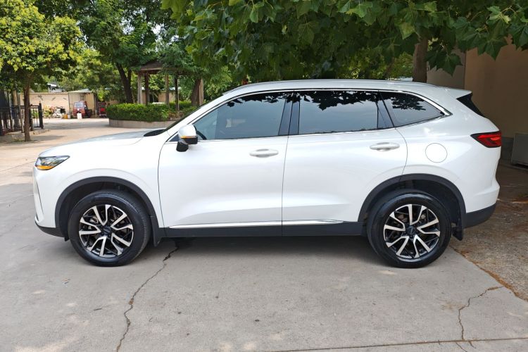 哈弗H6 2021款 第三代 1.5T 自动两驱Max车身外观6003