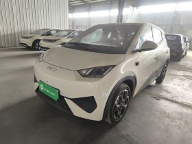 比亚迪 海鸥 2025款 智驾版 305km 自由版