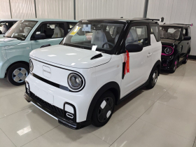 吉利银河 2025款 210km 熊猫卡丁