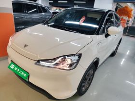 哪吒汽车 哪吒V 2021款 标准续航行业定制版