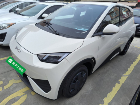 比亚迪 海鸥 2025款 智驾版 305km 活力版