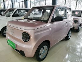吉利银河 2024款 熊猫mini 200km 耐力熊