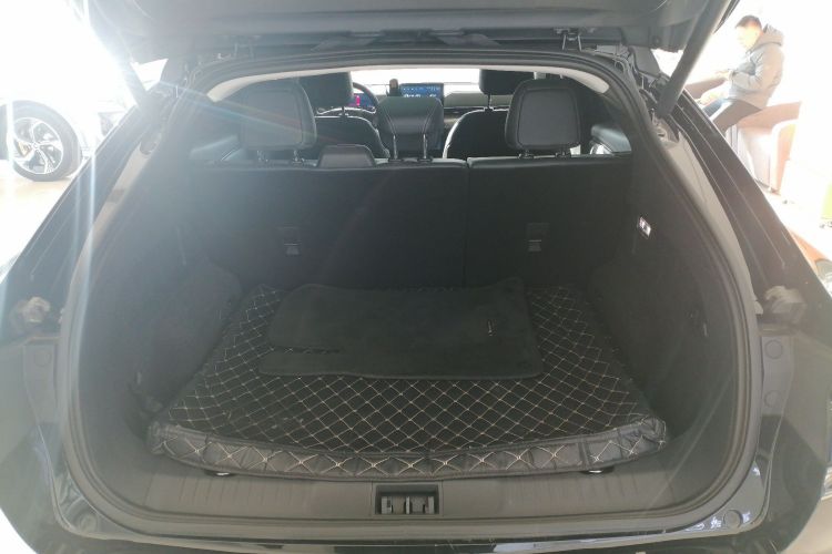 福特电马 2021款 跃世后驱版(标准续航)机舱底盘23