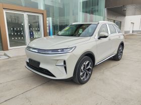 哈弗枭龙MAX 2025款 Hi4 110 Pro