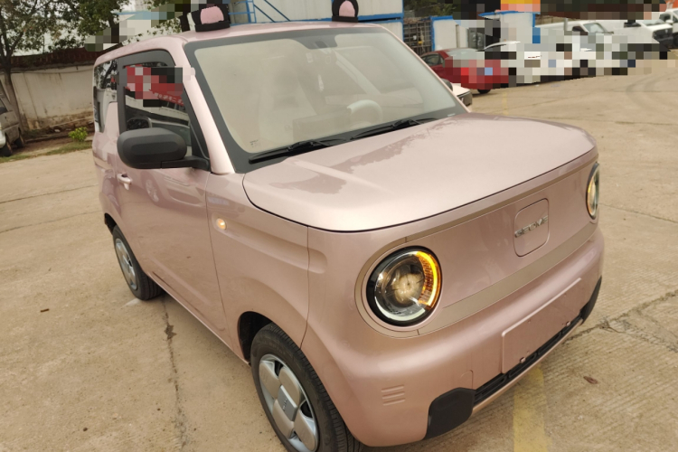 吉利银河 2023款 熊猫mini 200km 耐力熊车身外观3