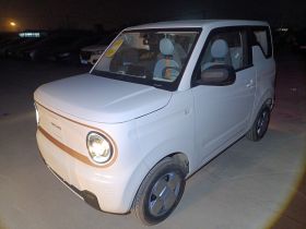 吉利银河 2024款 熊猫mini 200km 耐力熊