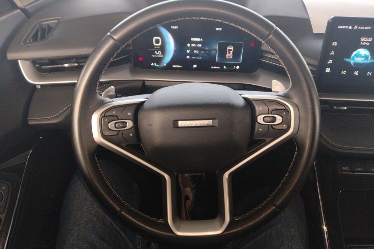 哈弗H6 2022款 第三代 1.5T 自动两驱Pro局部细节13