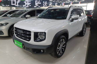 哈弗大狗 2021款 1.5T DCT两驱边牧版