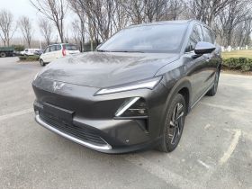 五菱汽车 五菱星光S 2024款 130km 旗舰型