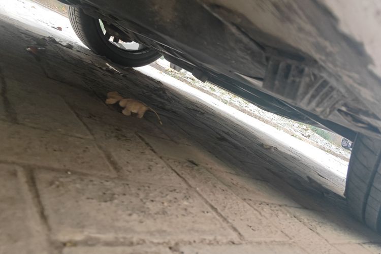 宝马1系 2021款 125i M运动曜夜版局部细节9001