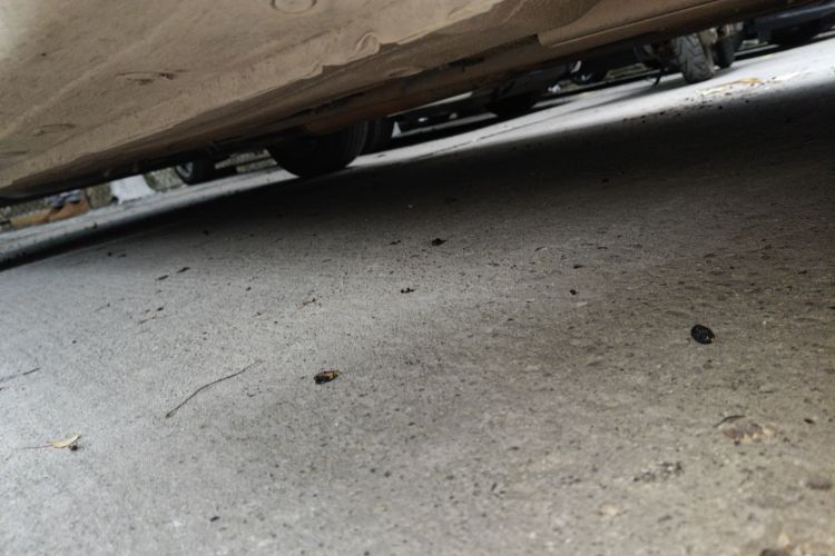 日产 轩逸 2012款 1.6XL CVT豪华版局部细节9001