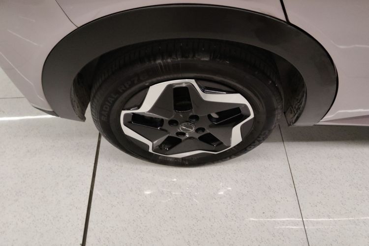 比亚迪 海豚 2021款 405km 时尚版车身外观6008