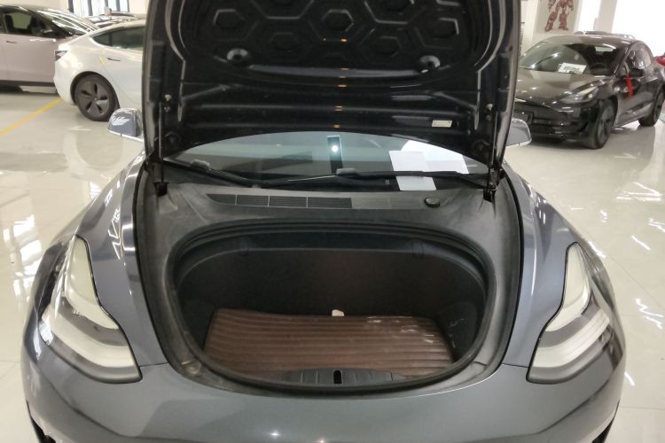 特斯拉 Model 3(进口) 2019款 长续航后驱版机舱底盘24
