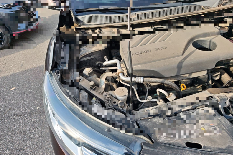 雷诺 科雷嘉 2017款 2.0L 两驱舒适版局部细节9006