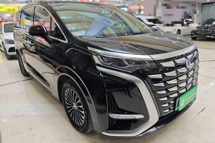 腾势D9 2024款 DM-i 980 四驱尊荣型车身外观6002