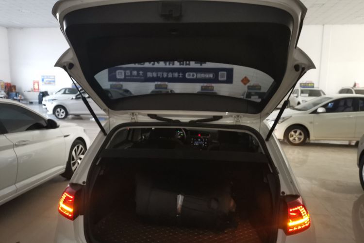 大众 高尔夫 2017款 230TSI 自动舒适百万辆纪念版机舱底盘23