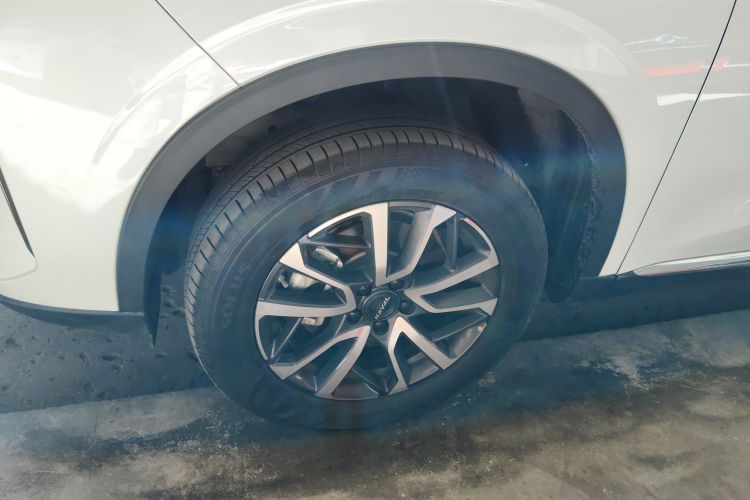 哈弗H6 2024款 1.5T 两驱经典版车身外观6007