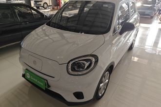 零跑汽车 零跑T03 2022款 皓玉版