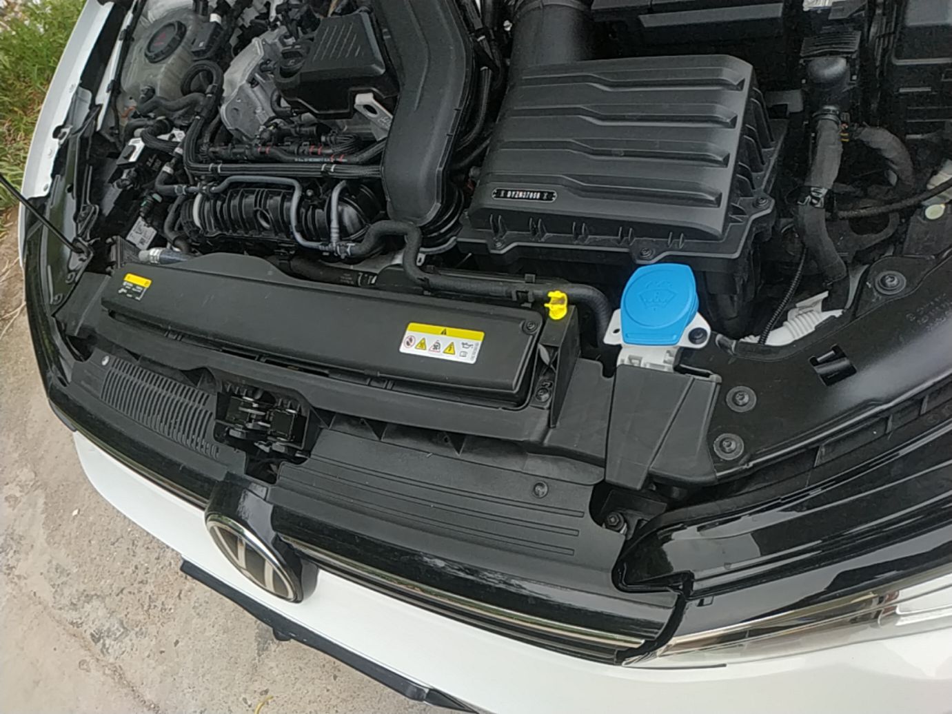 Volkswagen Golf (Domestic)