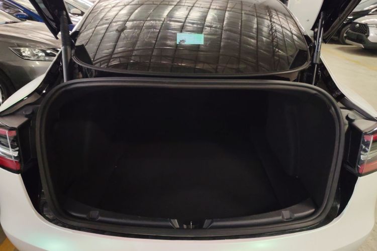 特斯拉 Model 3 2021款 标准续航后驱升级版 3D6局部细节23