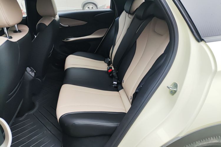 比亚迪 海豚 2025款 智驾版 420km 自由版中控内饰7004