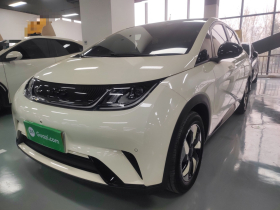 比亚迪 海豚 2024款 荣耀版 420km 时尚版