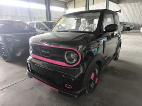 吉利银河 2025款 210km 熊猫卡丁