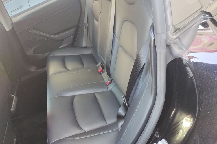 特斯拉 Model 3 2021款 标准续航后驱升级版中控内饰7004