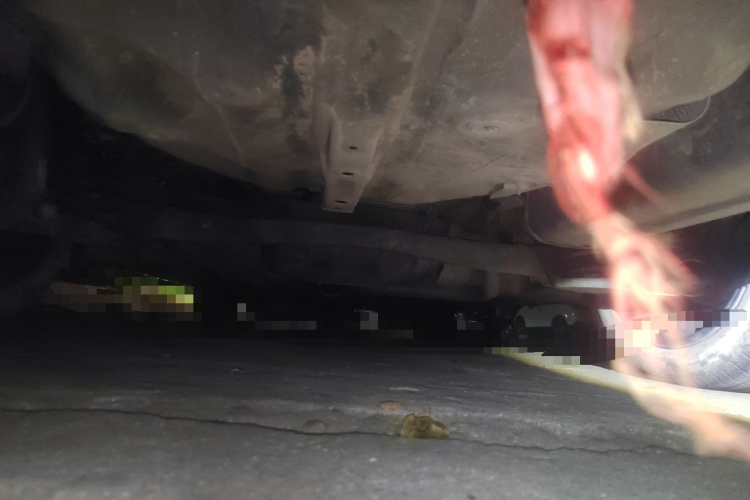 长安 逸动 2020款 PLUS 蓝鲸NE 1.4T GDI DCT旗舰型局部细节9009