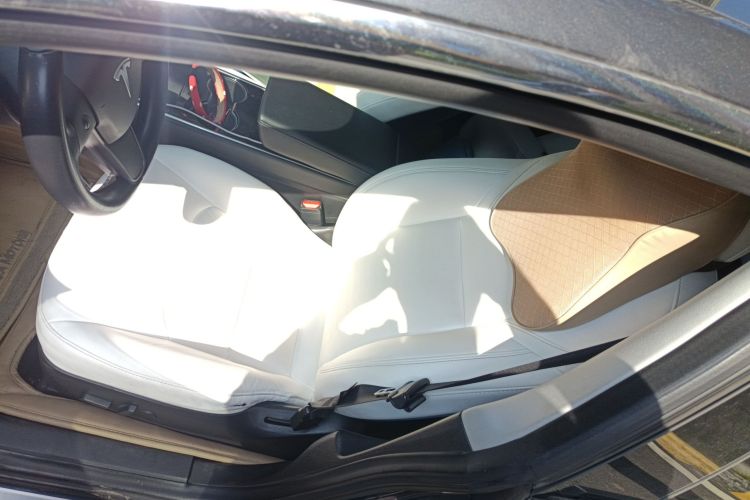 特斯拉 Model 3(进口) 2019款 长续航后驱版局部细节19