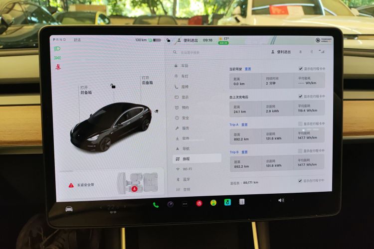 特斯拉 Model 3(进口) 2019款 长续航后驱版局部细节14
