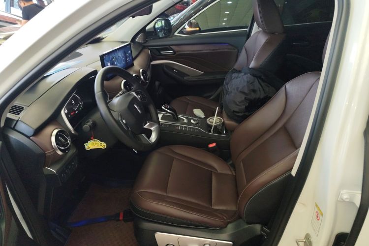 魏牌 VV6 2021款 2.0T 两驱智护+局部细节19