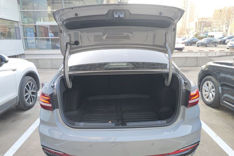 大众 朗逸 2023款 300TSI DSG星空永逸版局部细节23