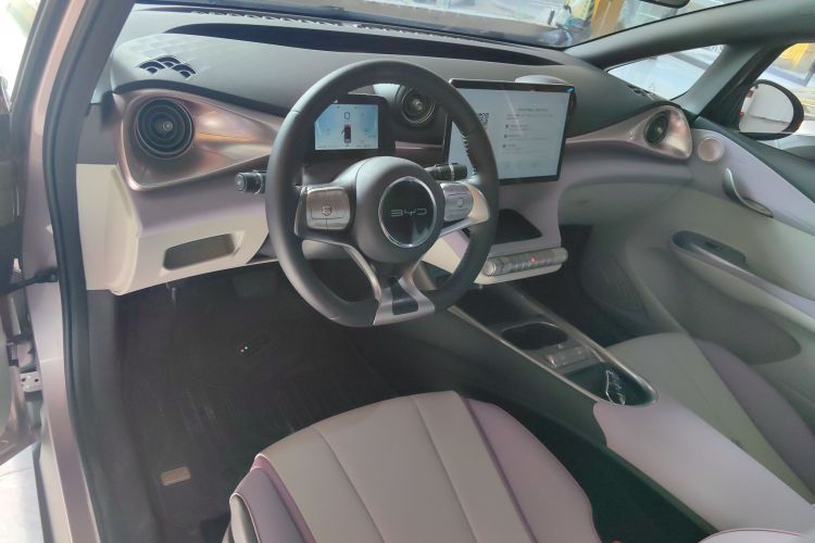 比亚迪 海豚 2021款 405km 时尚版中控内饰7002