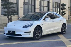 特斯拉 Model 3(进口) 2019款 长续航全轮驱动版