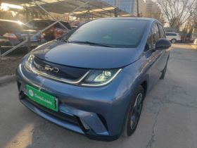 比亚迪 海豚 2024款 荣耀版 420km 自由版