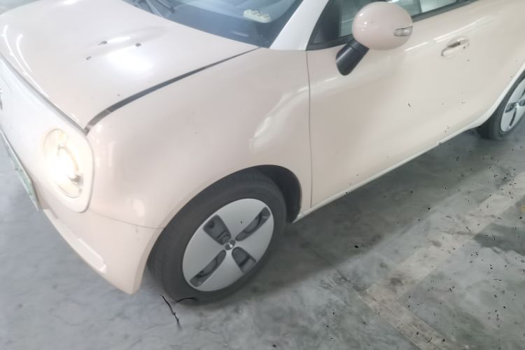 欧拉黑猫 2022款 301km 萌宠版 磷酸铁锂局部细节36