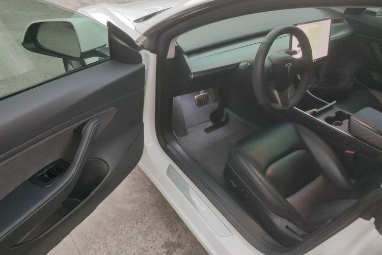 特斯拉 Model 3(进口) 2019款 Performance高性能全轮驱动版中控内饰20