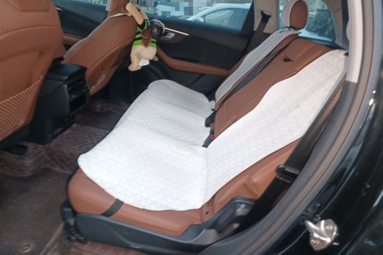 奥迪Q7 2023款 55 TFSI quattro S line运动型中控内饰21