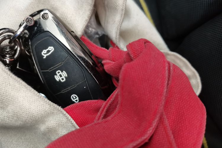 红旗HS3 PHEV 2024款 PHEV 115km 劲为版中控内饰7001